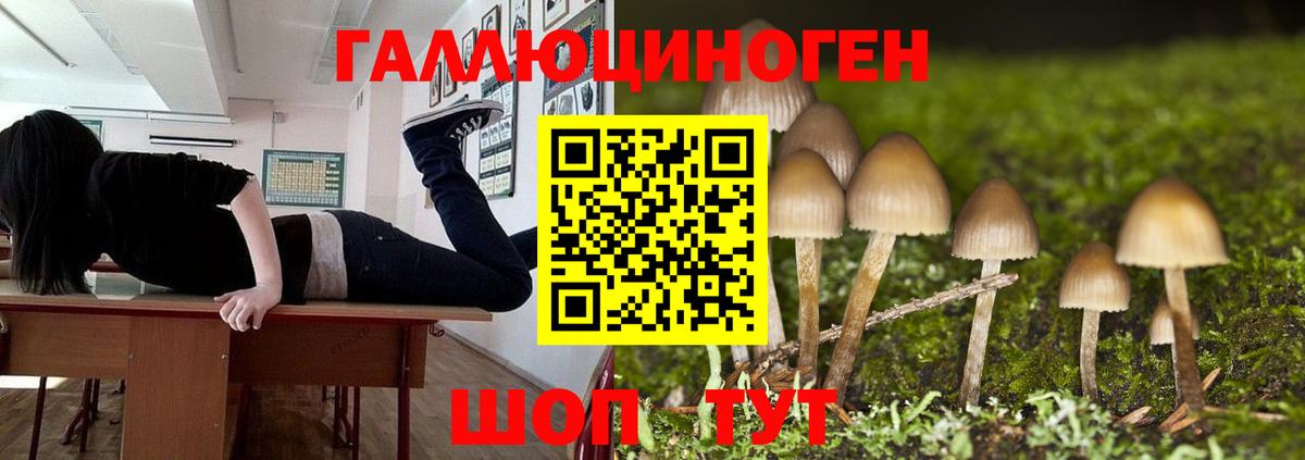 Псилоцибиновые грибы мухоморы  Вход с VPN  Елизово 